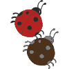 Ladybug Friends