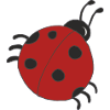 ladybird