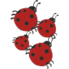 Ladybug family