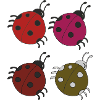 Ladybug 4 Pack