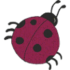 Ladybug blackberry