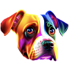 bunter Hund