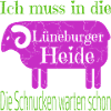 Lüneburger Heide Motiv mit Heidschnucke