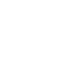 Logo officiel de SilverFoxes