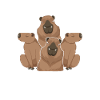 Escouade Capybara