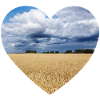 Heart for nature