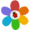 Coccinelle