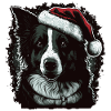 Natale Border Collie