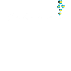 Bahamas