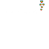 Mapuche