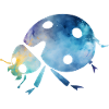 ladybug