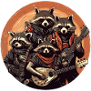 Raccoon Metal Band