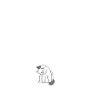 Funny Cat Tilt Head