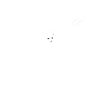ROI DU SQUAT