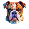 Bulldog - Low polygon bulldog