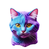 chat