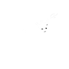 KING OF SPRITZ
