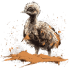 Baby Ostrich Bird Chick Africa
