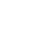 Raven Odin Vegvisir Valknut