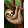 Baby-Faultier