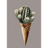Kaktus-Eiscreme