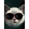 Katze mit Sonnenbrille