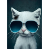 Katze mit Sonnenbrille