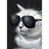 Katze mit Sonnenbrille