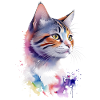 Daisy, die bunte Katze