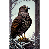 Aigle | Oiseaux | Liberté | Animaux