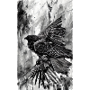 Aigle | Oiseaux | Liberté | Animaux