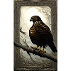 Aigle | Oiseaux | Liberté | Animaux