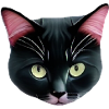 puss