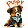 Chiot 1 Hundewelpe