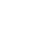 Pirate flag / skull with crossed bones