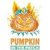 Halloween Coolster Kürbis im Patch