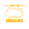 Rasenmähroboter Mähroboter