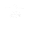 Pilates Wheelchair