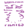 Pilates Wheelchair