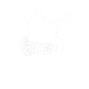 Taekwondo Wheelchair