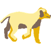 Hund
