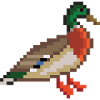 Vogel