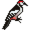 Vogel