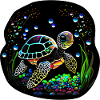Baby Turtle
