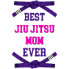 Jiu-Jitsu Brazilian Jiu-Jitsu Martial Arts