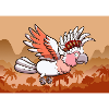 Cockatoo Flying In Jungle