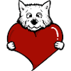 Westie