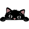 Peeping funny black cat