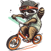 Raccoon BMX