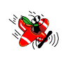 The plane